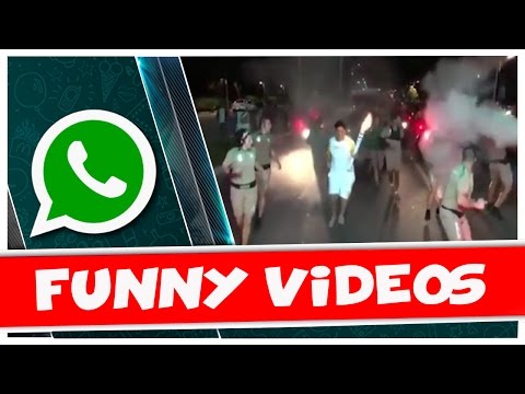 Micos com a Tocha Olímpica   Vídeos Engraçados   Olimpíadas Rio 2016