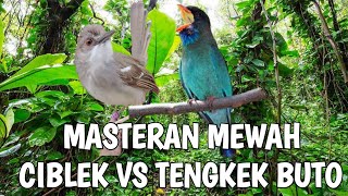 Download lagu SUARA TEMBAKAN KASAR  II DUET CIBLEK KRISTAL GACOR NGEBREN VS TENGKEK BUTO II MASTERAN ISTIMEWA 2021 mp3