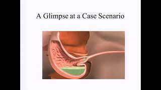 Unraveling the Multiple Clinical Challenges between Metabolic Dysfunction and GI Health