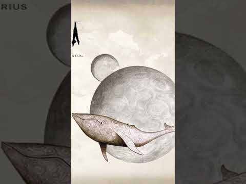 Videoclip de Flying Whales (Live at Brixton Academy, London, UK 3/29/2013) — Gojira