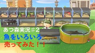 あつまれどうぶつの森ゲーム実況♯2 「今回はある物を売ってみた！！」