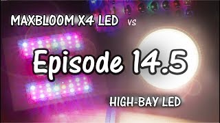 MaxBloom vs High Bay LED Grow Light Ep. 14.5 (Starting Over)