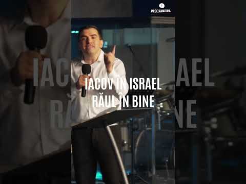 SCHIMABARE - Calin Mocan