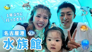 【名古屋港水族館】癒しの生き物たち🐠🐟🐬