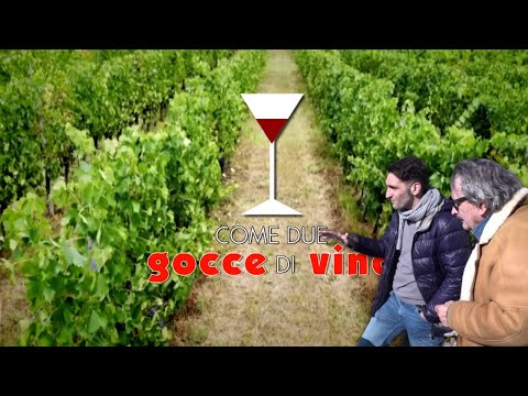 Gocce di Vino: Il vino ancestrale