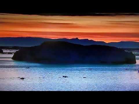 Hammond Organ Jazz　_   Georges Arvanitas