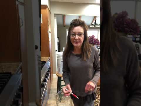 Chokecherry wine .... first racking