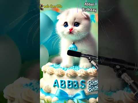 ABBAS BIRTHDAY | HAPPY BIRTHDAY SONG WITH NAMES | Adorable Cute Cat 😺 #cat #happybirthday #cute