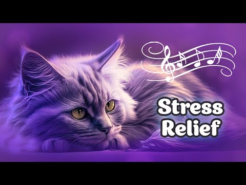 ♬ Cat Meditation Music 432 hz 😸 Healing Music for the Body and Soul, Deep Sleep