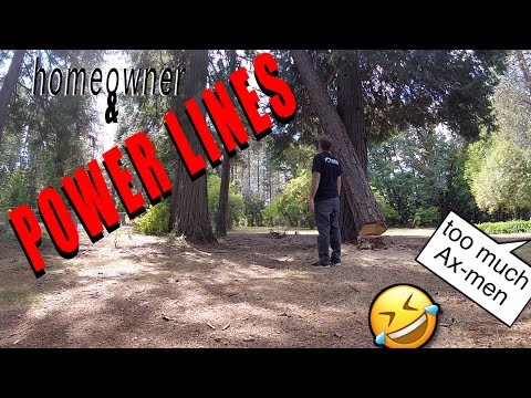 A Tree 911 call (wife blames Ax Men Show)