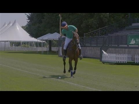 A Polo Primer: Lessons From a Pro
