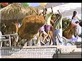 1997 McDonalds Ad Summer Chicken McNuggets