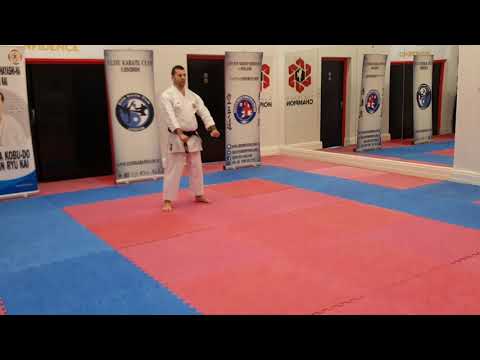 Heian Shodan Kata Shito Ryu - Sensei Vasile Munteanu