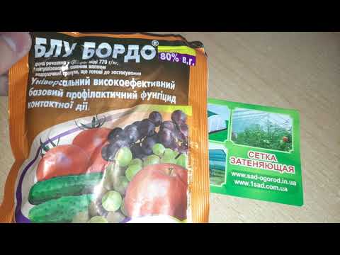 БЛУ БОРДО для картоплі, томатів, яблуні та винограду Як готувати
