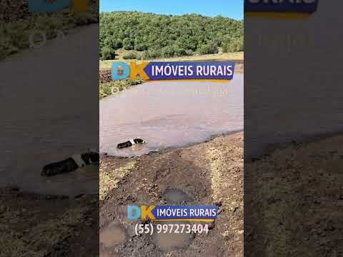 🚨 OPORTUNIDADE PARA PRODUTORES E INVESTIDORES EM BAGÉ/RS! 🚜💎