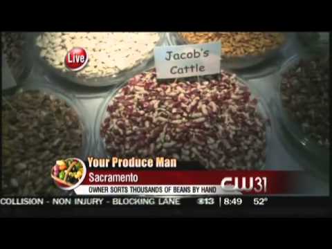 download lagu mp3 mp4 Elegant Beans, download lagu Elegant Beans gratis, unduh video klip Elegant Beans