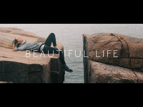 Disco Killerz - Beautiful Life (ft. Delaney Jane & Sarah Charness)(Sub Español)