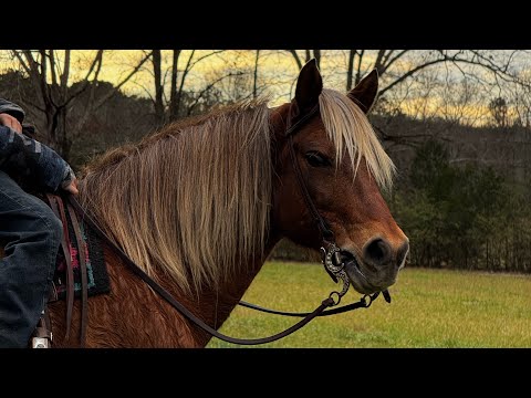 TSP LOT - 𝐒𝐎𝐋𝐃