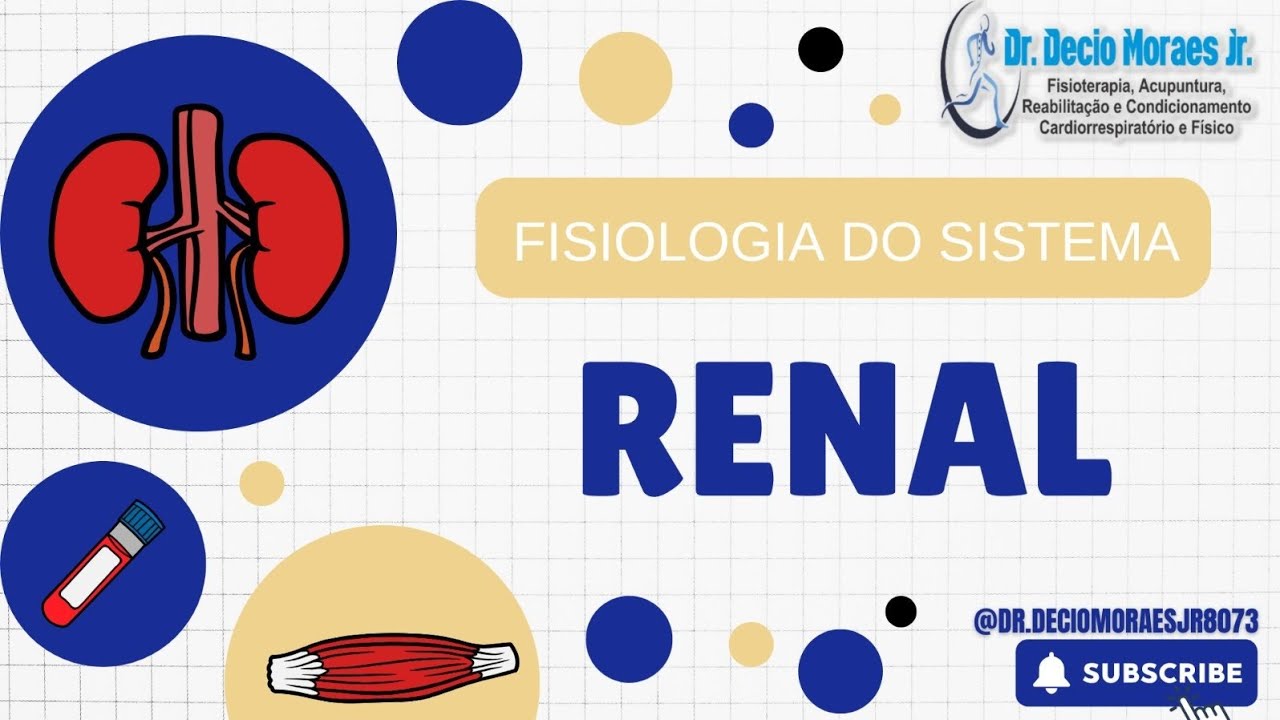 # Fisiologia do Sistema Renal - Série trabalhos dos meus alunos - 24.05.2025