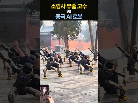 소림사 무술 고수들의 제자가 된 로봇···AI 성능에 전 세계가 '감탄'