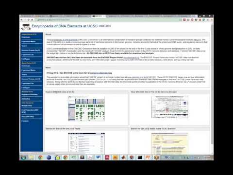 Creating Signatures from the ENCODE Data