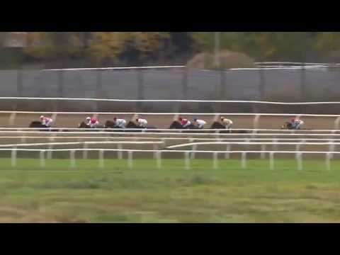 2015.10.18 Mr Ascot Vinterfavoriternas Pris (SWE) - Ruler of Course