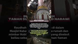 Download lagu inilah rhaudan taman syurga di mesjid Nabawi #motivasidiri #pendosahijrah #short mp3