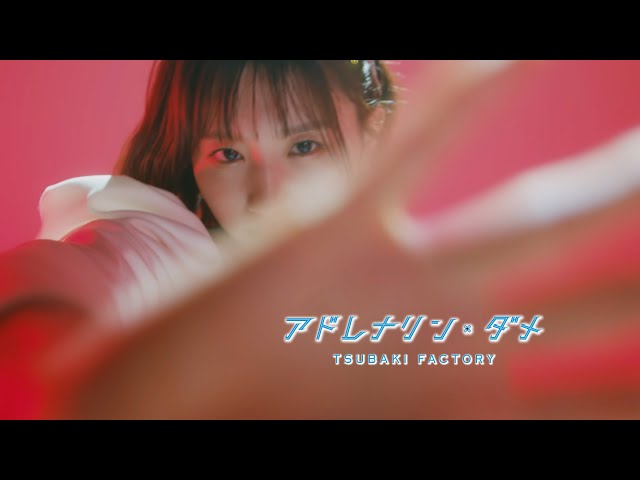 つばきファクトリー 日本武道館で新曲『アドレナリン・ダメ』を披露!“新曲まじかっこいい!”“サンキュー卓偉”とファンも絶賛! 3 YouTubeサムネイル