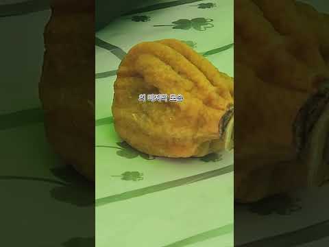 [2026 상주시 sns 서포터즈] 2026 곶감축제 후기!