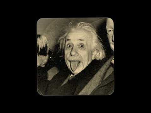 Leo Sidran - Body and the Brain (Official Video)@leosidran