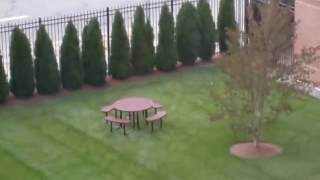 Mattress (Unofficial Music Video)