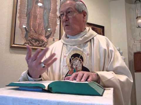 Homily 07/29/11