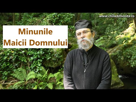 Minunile Maicii Domnului - p. Teologos