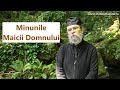 Minunile Maicii Domnului P Teologos