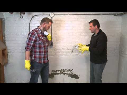 How to Clean up Mold