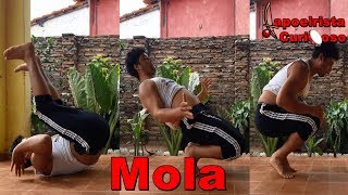 Tutorial Mola