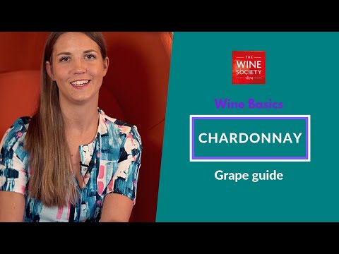 Wine Basics: Chardonnay: Grape Variety Masterclass