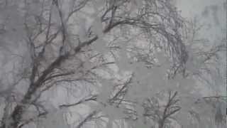 preview picture of video 'Verwondering/Mystery 59: Sneeuw! / Snow! / De la Neige! / 7 December 2012'