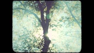 S. Carey - Fire-Scene