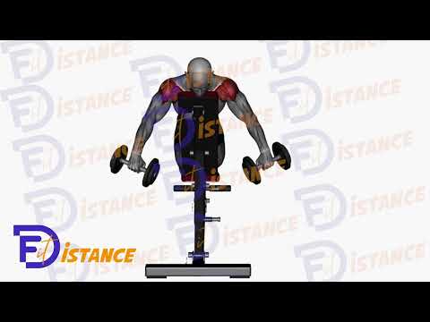 Élévations arrière en T - Exercice Élévations arrière en T en vidéo