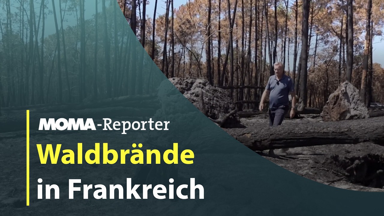 MOMA-Reporter: Heftige Waldbrände in Frankreich | ARD Morgenmagazin