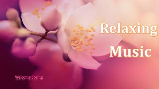  Musica Relaxante, Relaxing Music, Calm Music