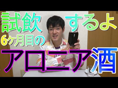 アロニア・メラノカルパ（黒い果実のチョークベリー）をいつ、どのように植えるのですか？  庭園