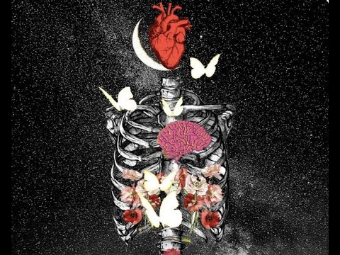 CTHLT ? - BABY $MOKE (Official lyrics video)