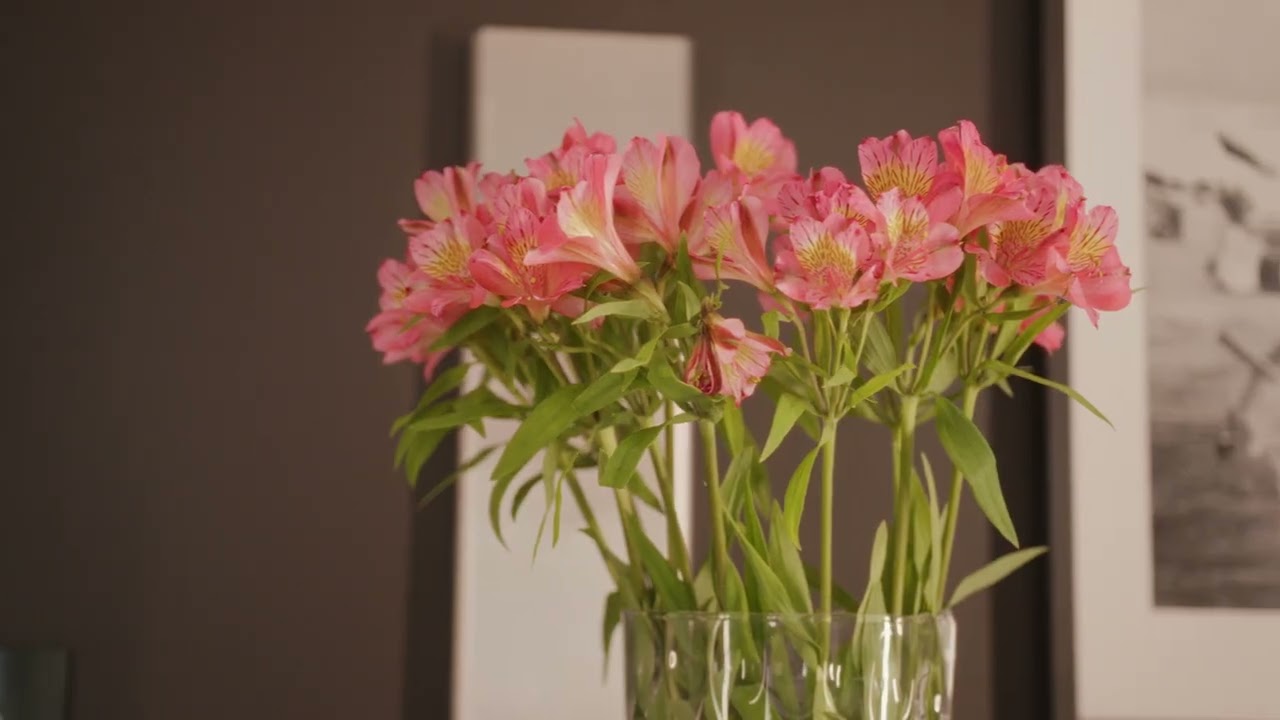 Hotel Platinum Residence Butique****