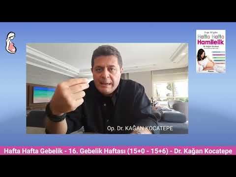Gebelikte 16. hafta (15+0 -15+6) belirtileri. Anne adayı ve bebekte değişiklikler, dörtlü test, NIPT