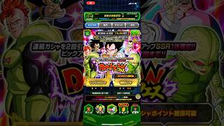 【ドッカンバトル】サイヤ人襲来！リバチェンベジータ/ナッパ登場！！！【ドラゴンボールZ】#ドッカンバトル  #ドラゴンボール  #dragonball