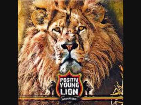 Positiv Young Lion - Une Journée