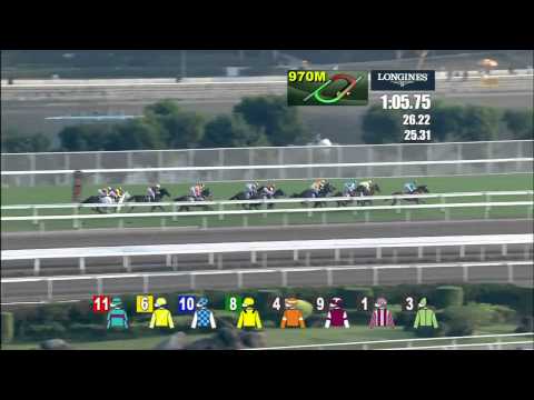 2014 LONGINES Hong Kong Cup (International Group 1) {HD}