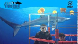 DIA 2 Expo Tiburon83